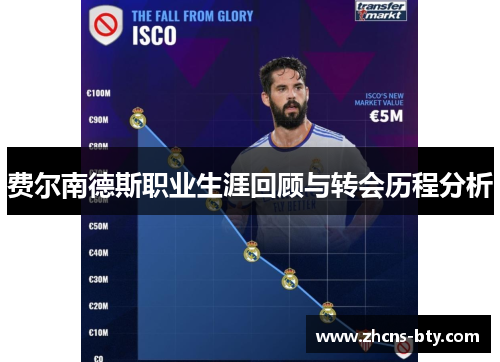费尔南德斯职业生涯回顾与转会历程分析