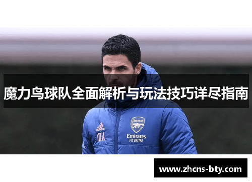 魔力鸟球队全面解析与玩法技巧详尽指南