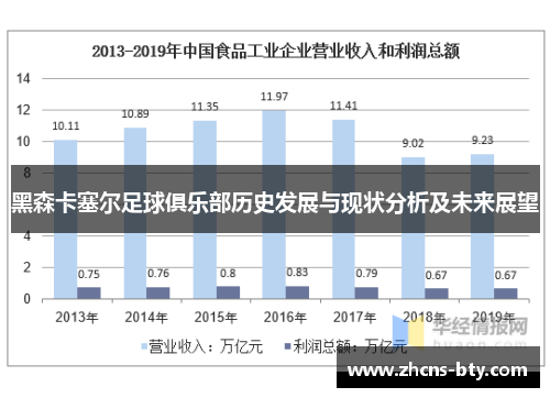 黑森卡塞尔足球俱乐部历史发展与现状分析及未来展望