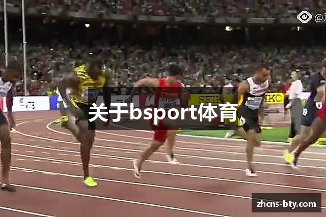 关于bsport体育